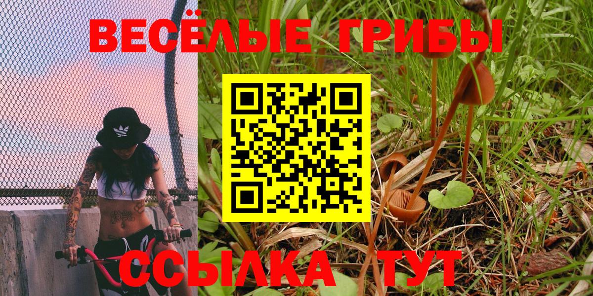 Медногорск  Галлюциногенные грибы MAGIC MUSHROOMS  Вход с VPN  цена   Галлюциногенные грибы Magic Shrooms 